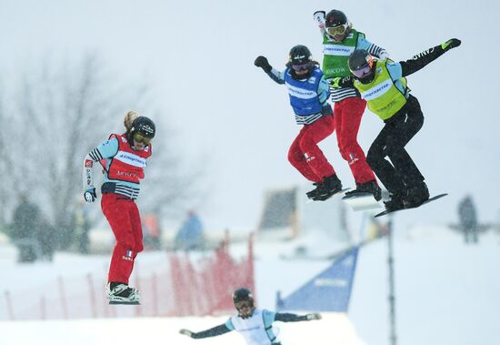 Snowboard. World Cup stage. Snowboard cross