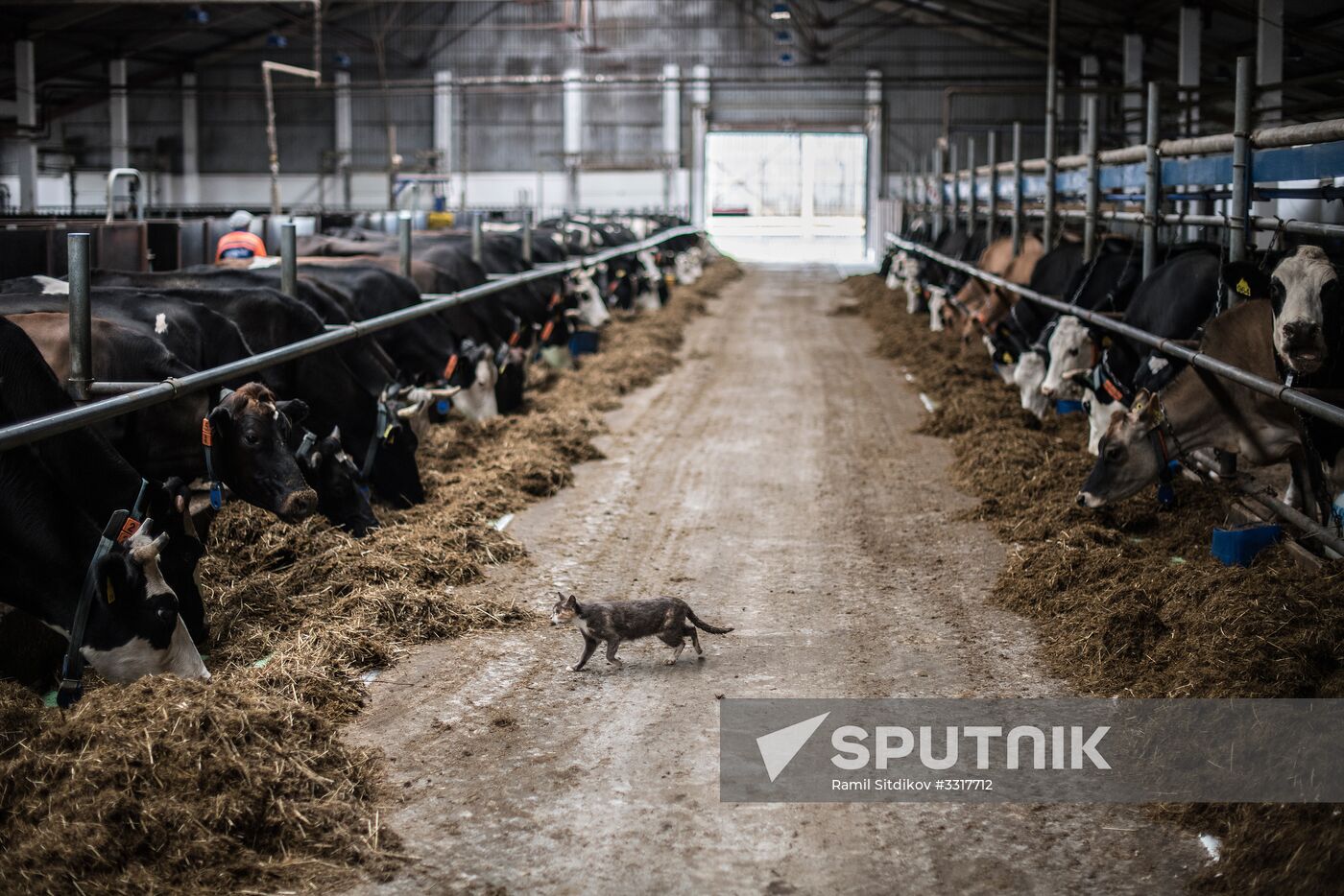 AgriVolga agricultural holding in Yaroslavl Region
