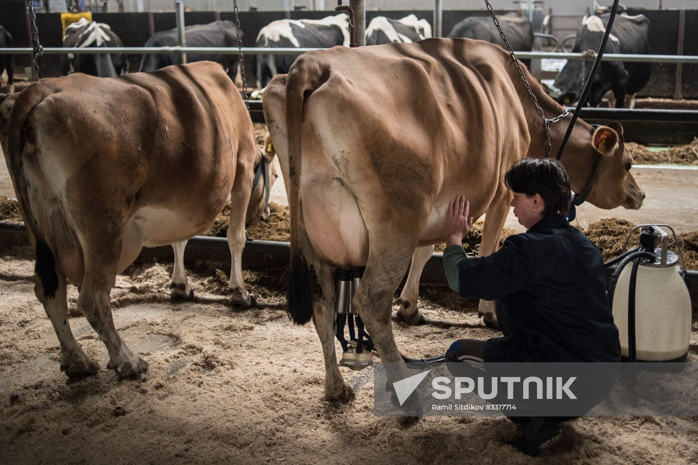 AgriVolga agricultural holding in Yaroslavl Region