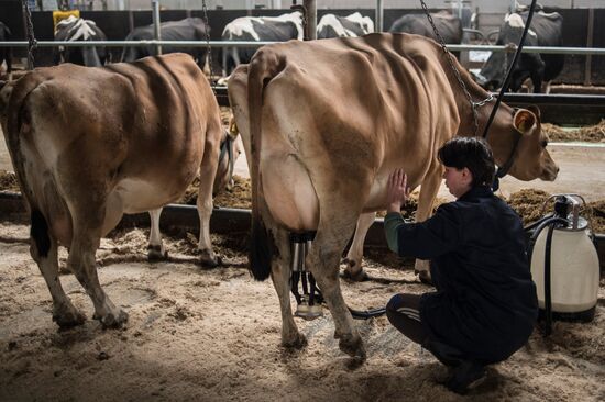 AgriVolga agricultural holding in Yaroslavl Region