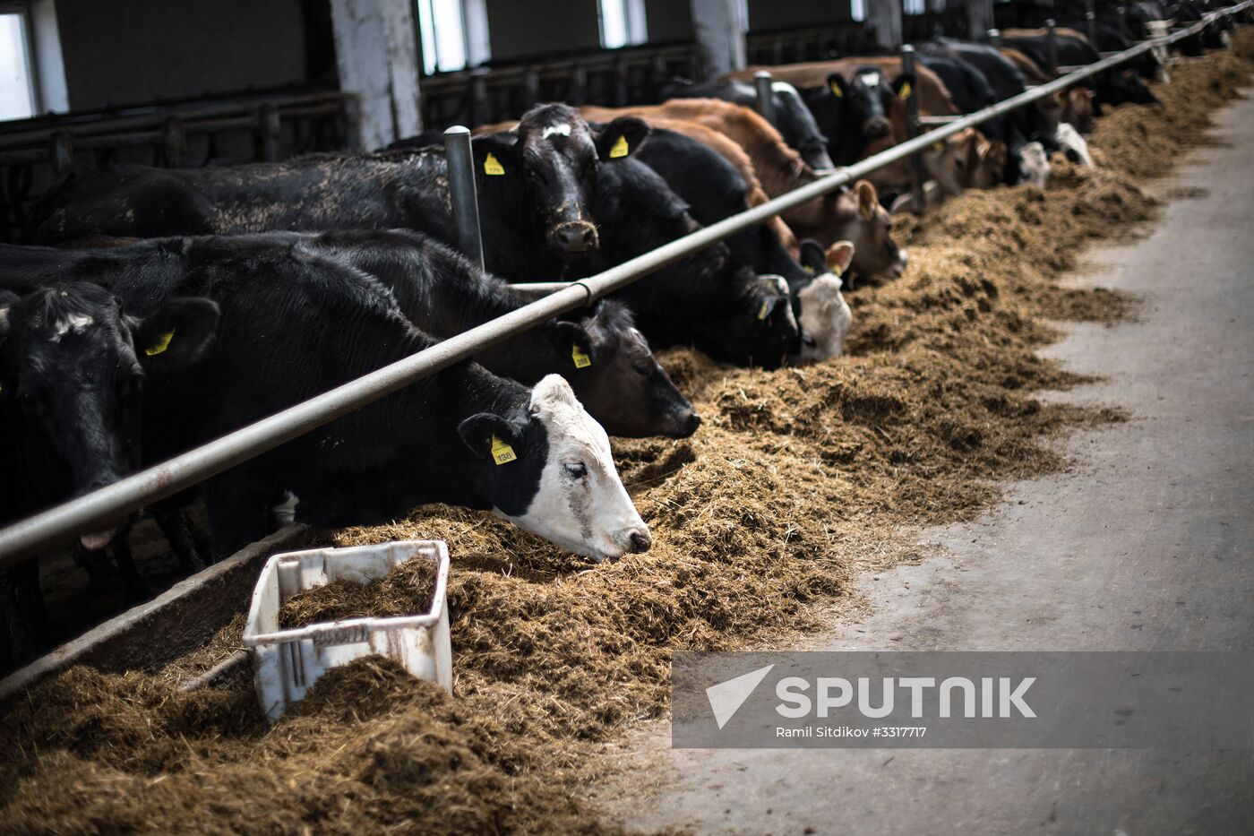 AgriVolga agricultural holding in Yaroslavl Region