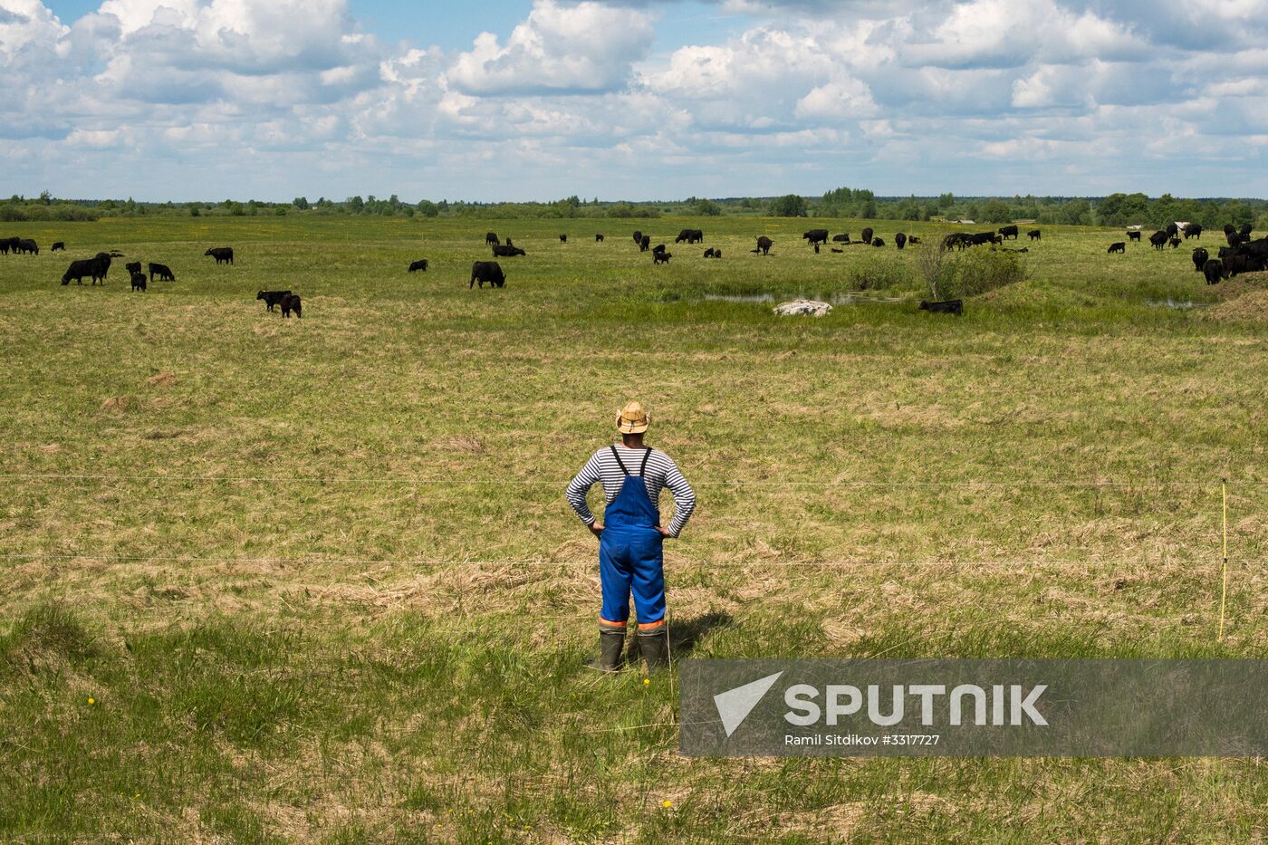 AgriVolga agricultural holding in Yaroslavl Region