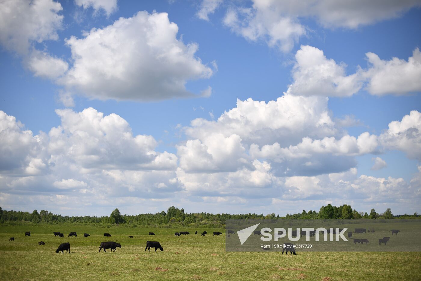 AgriVolga agricultural holding in Yaroslavl Region