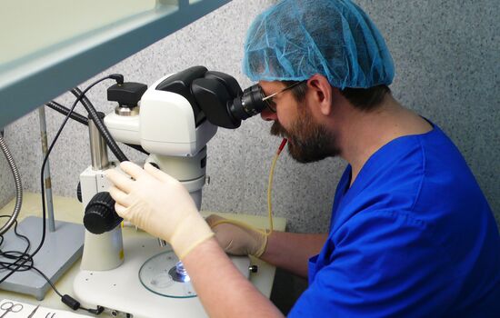 MSU genome editing center