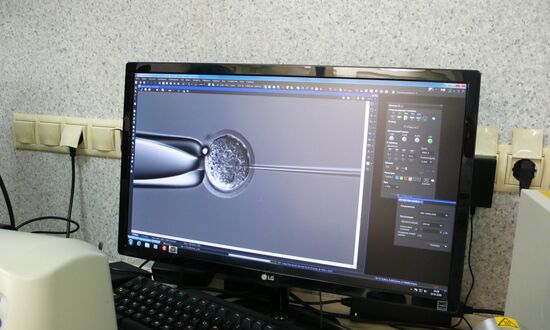 MSU genome editing center