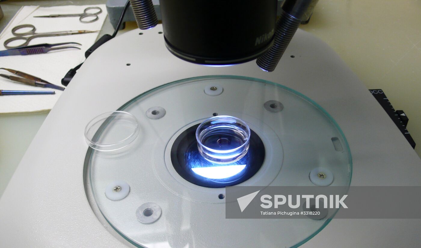 MSU Genome editing center