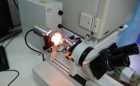 MSU genome editing center