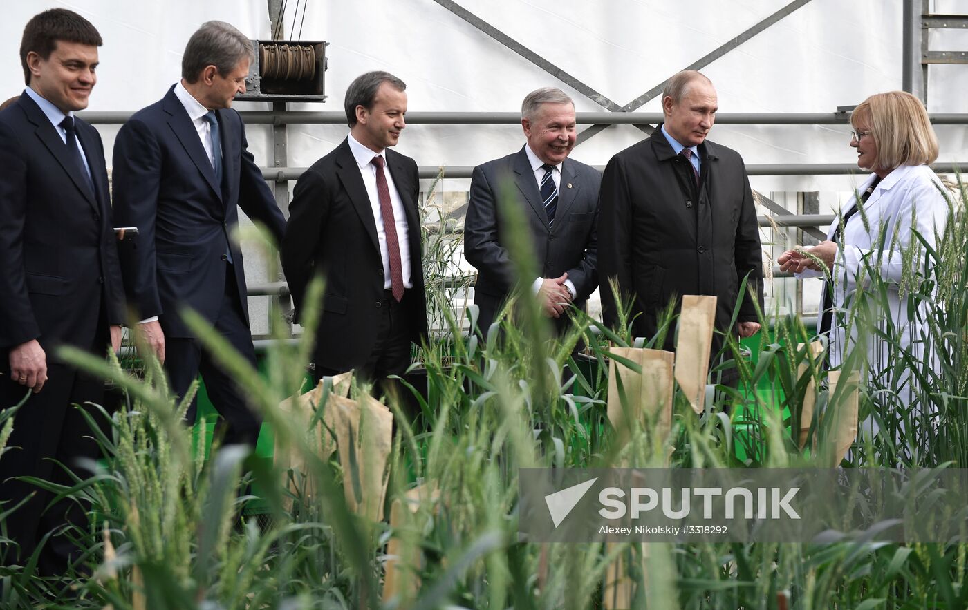 President Vladimir Putin's working trip to Krasnodar