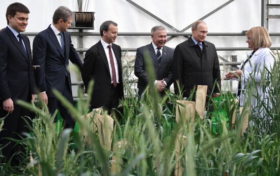 President Vladimir Putin's working trip to Krasnodar