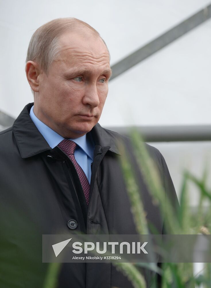 President Vladimir Putin's working trip to Krasnodar