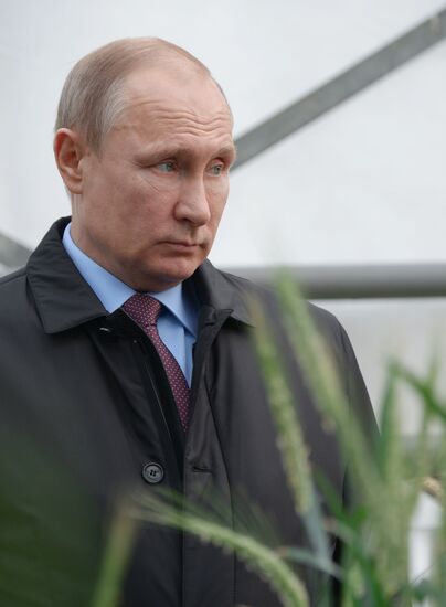 President Vladimir Putin's working trip to Krasnodar