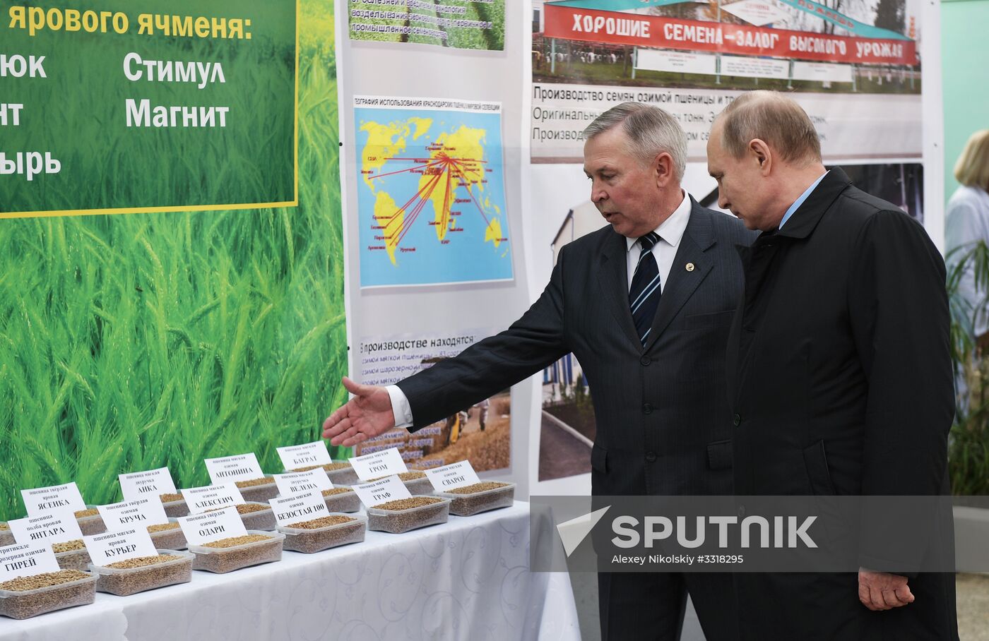 President Vladimir Putin's working trip to Krasnodar