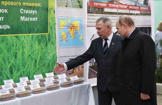 President Vladimir Putin's working trip to Krasnodar