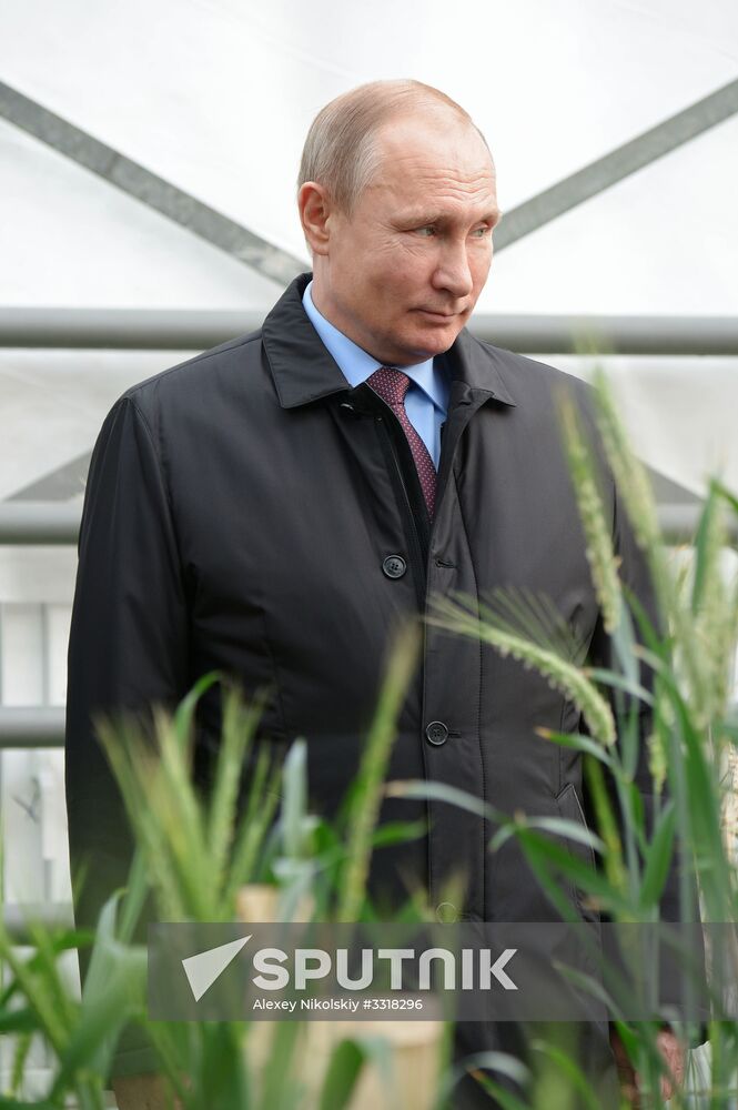 President Vladimir Putin's working trip to Krasnodar
