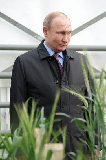President Vladimir Putin's working trip to Krasnodar