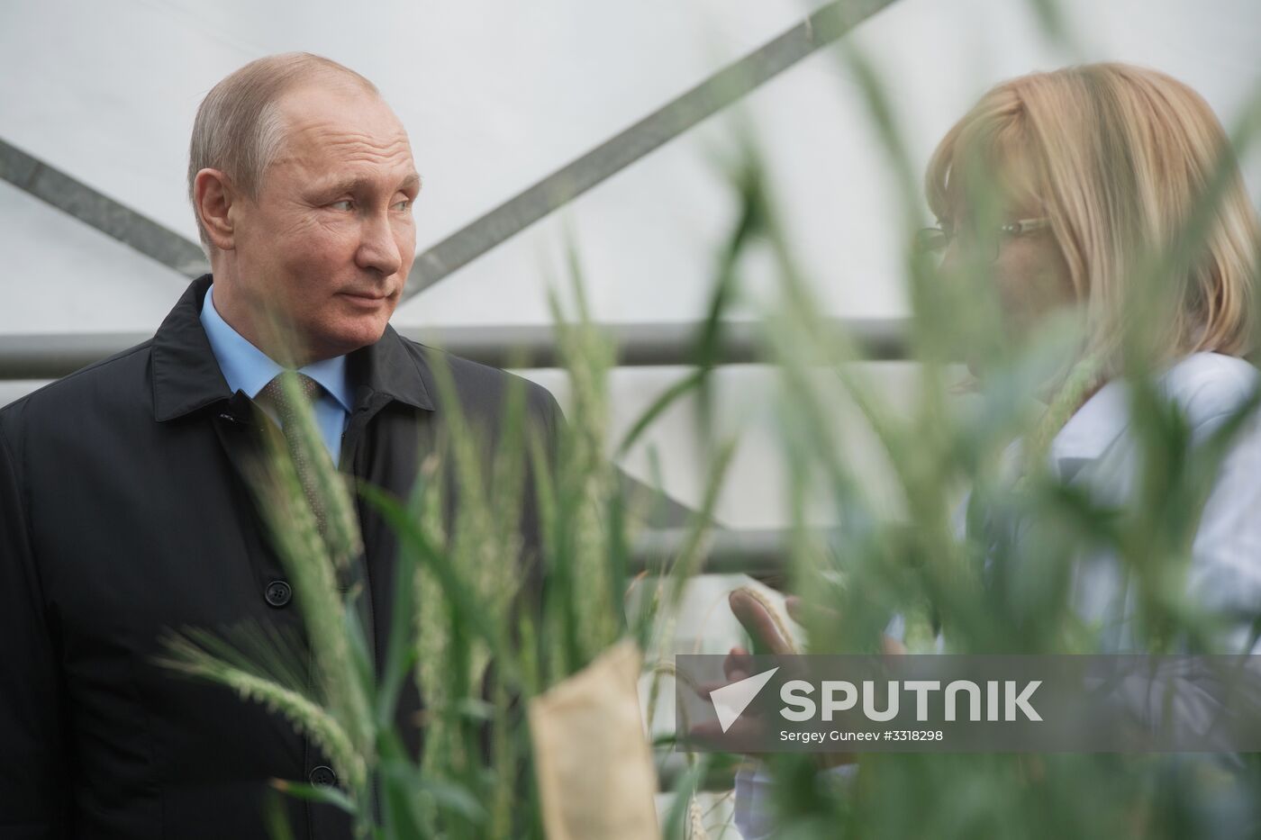 President Vladimir Putin's working trip to Krasnodar