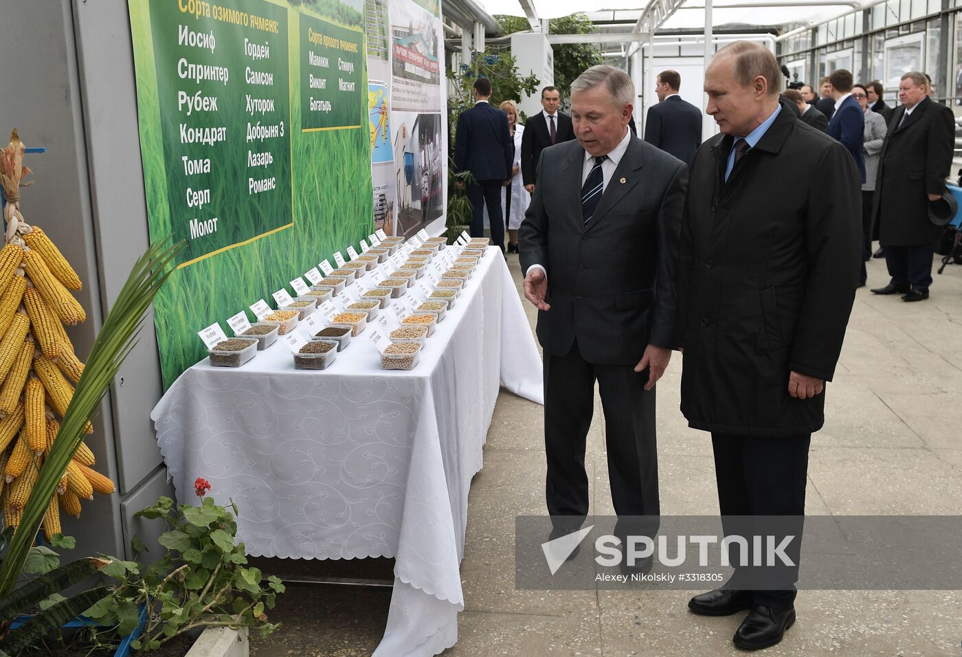 President Vladimir Putin's working trip to Krasnodar