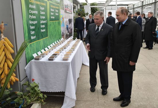 President Vladimir Putin's working trip to Krasnodar