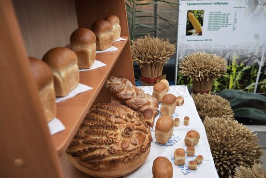 President Vladimir Putin's working trip to Krasnodar