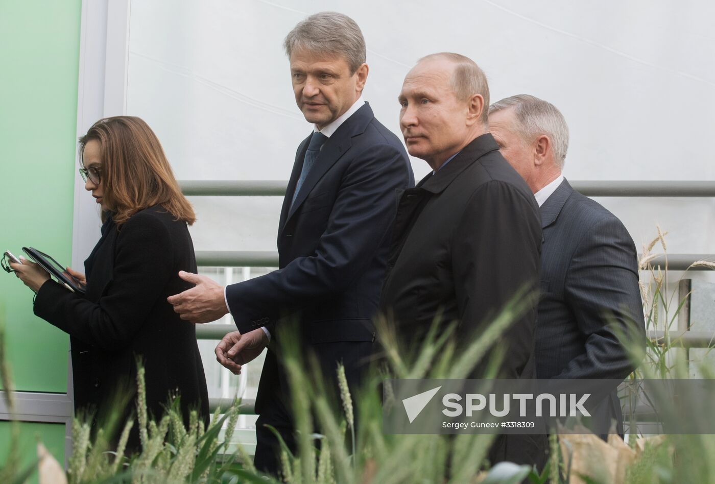 President Vladimir Putin's working trip to Krasnodar