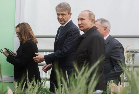 President Vladimir Putin's working trip to Krasnodar