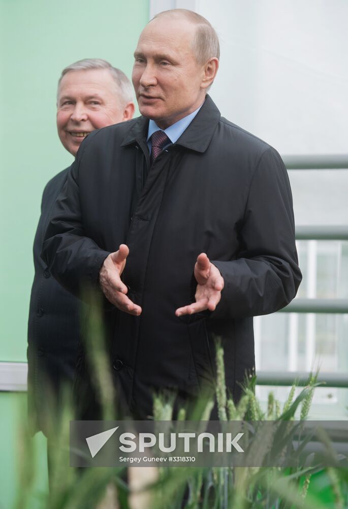 President Vladimir Putin's working trip to Krasnodar