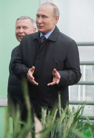 President Vladimir Putin's working trip to Krasnodar