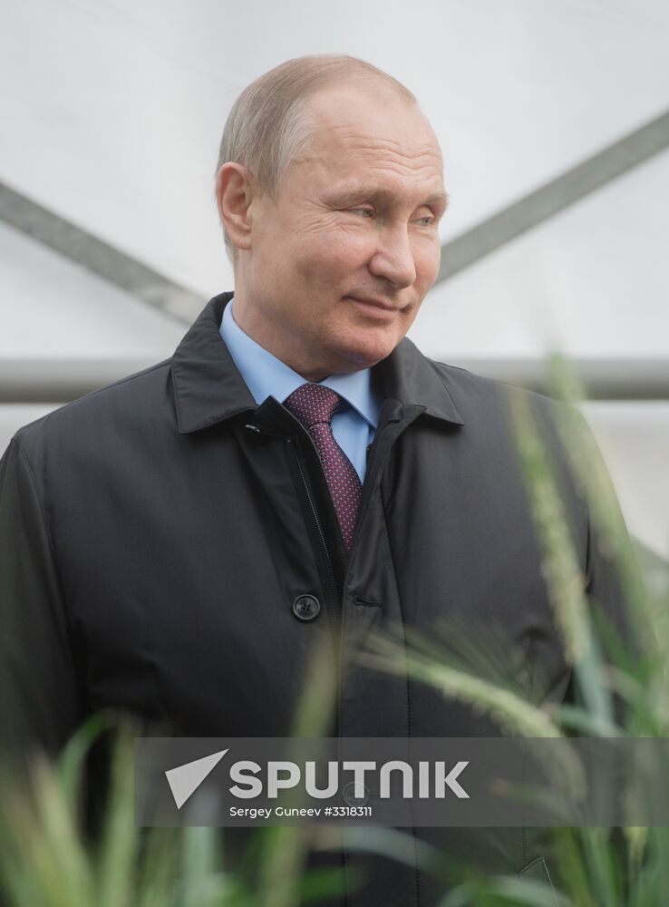 President Vladimir Putin's working trip to Krasnodar