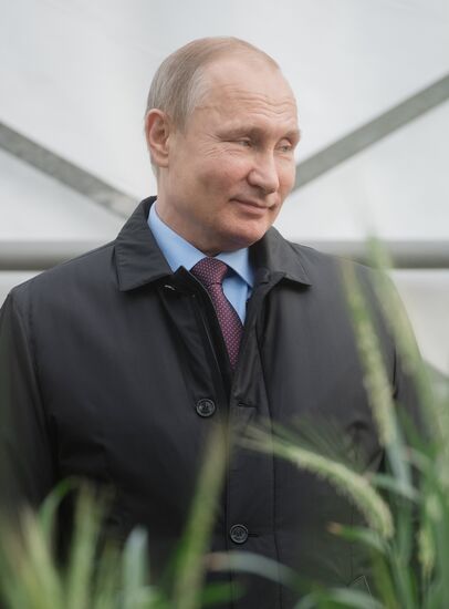 President Vladimir Putin's working trip to Krasnodar