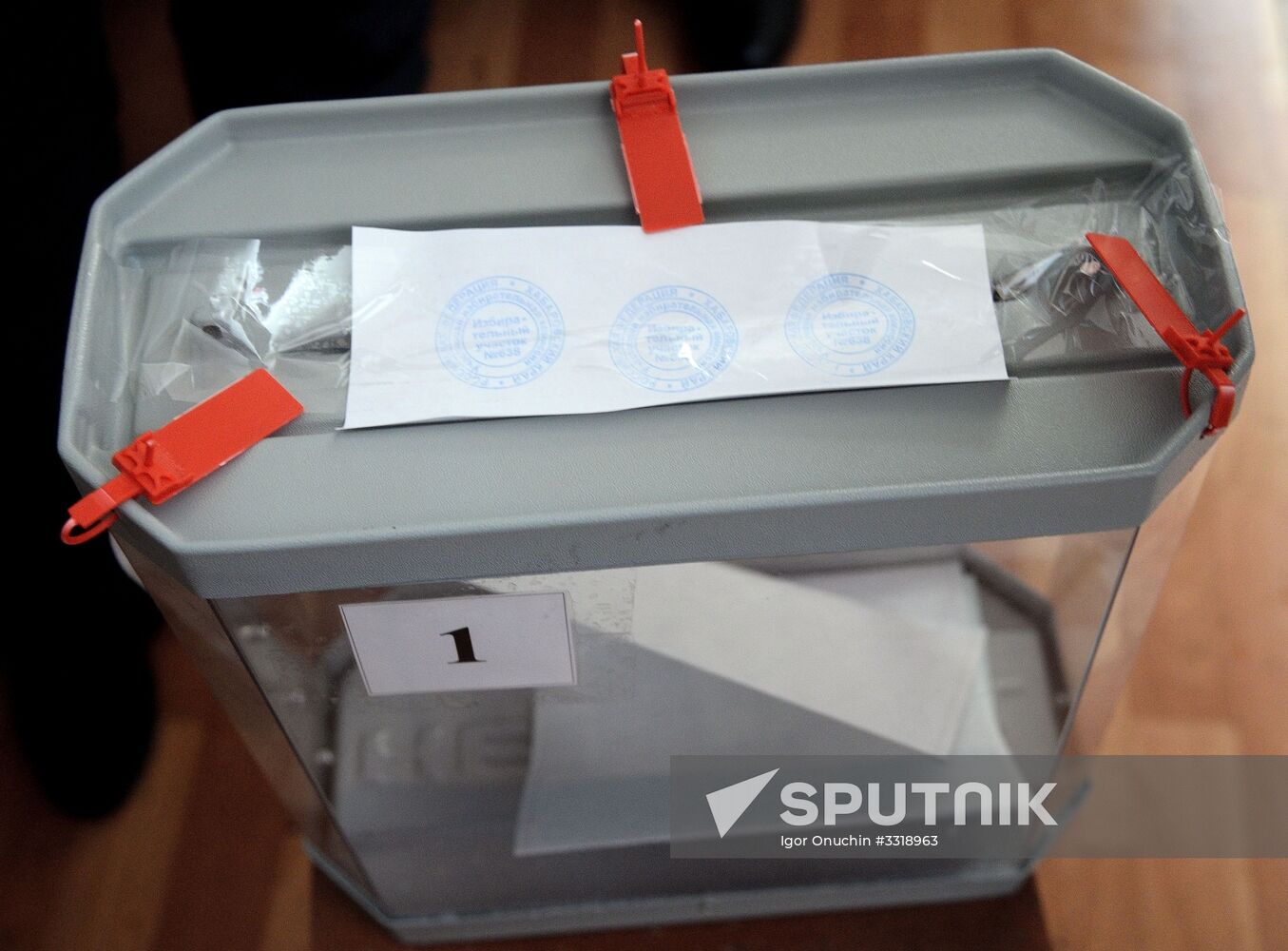 Russian regions hold early voting for 2018 presidential election