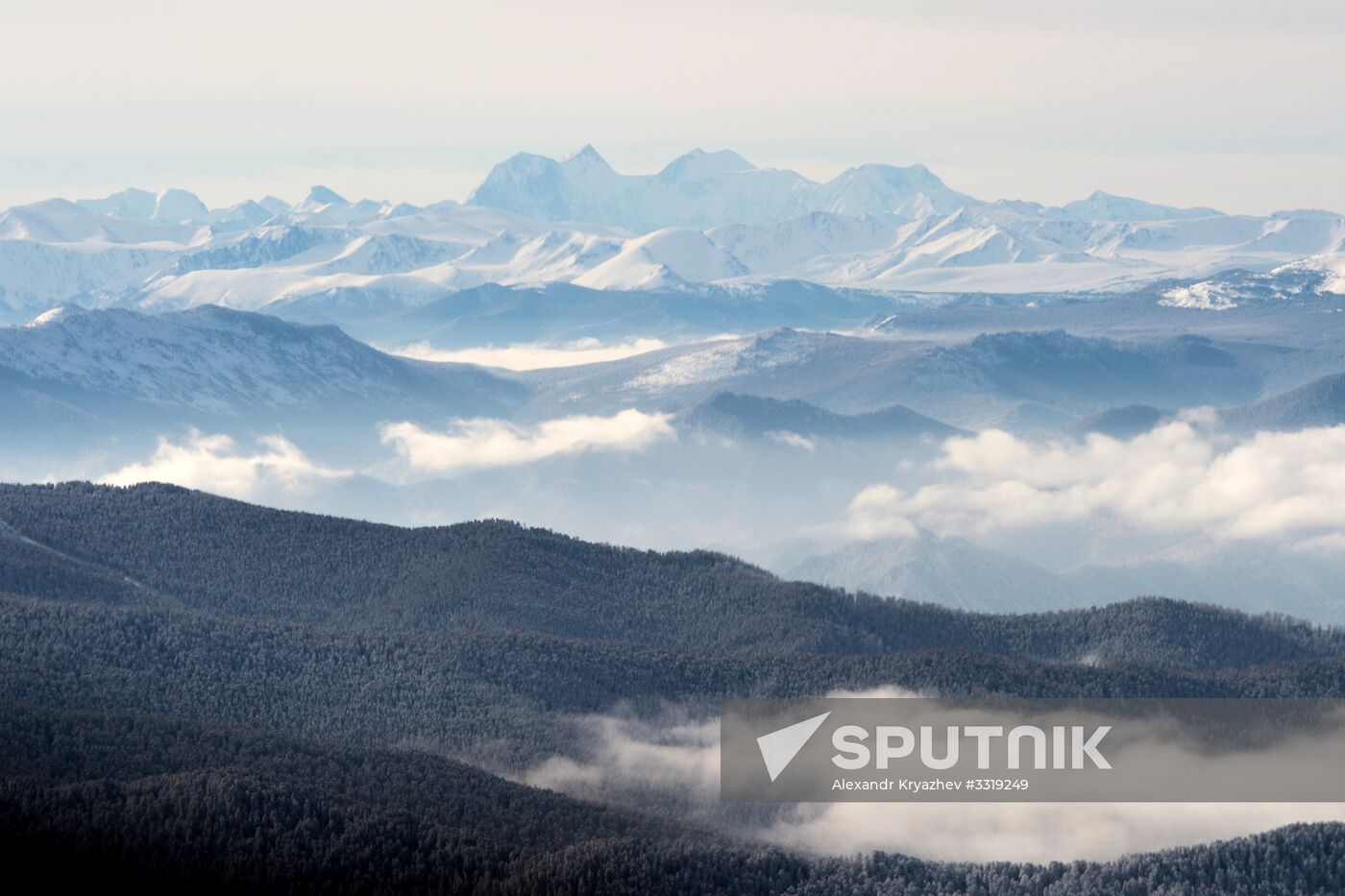 Early voting for President of Russia in Republic of Altai