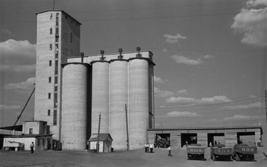 Gigant state farm in Russia's Rostov Region