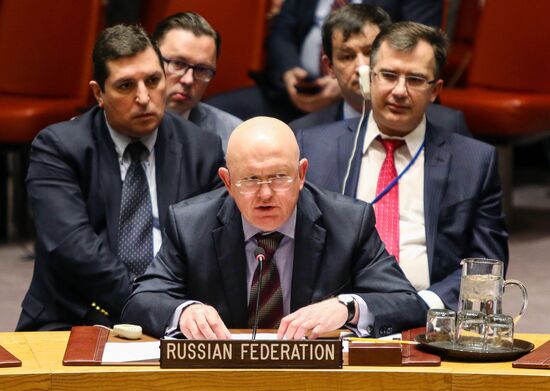 UN Security Council meeting in New York