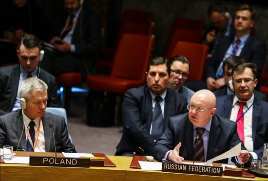 UN Security Council meeting in New York