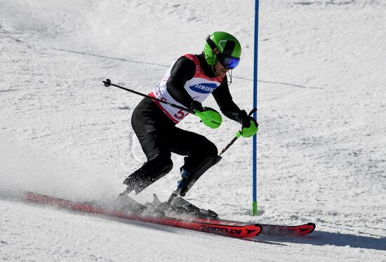 2018 Winter Paralympics. Alpine skiing. Men. Slalom