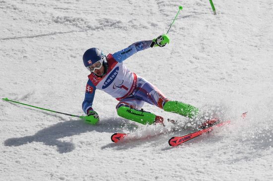 2018 Winter Paralympics. Alpine skiing. Men. Slalom