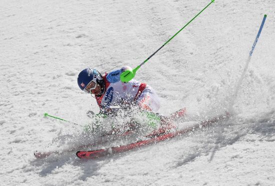 2018 Winter Paralympics. Alpine skiing. Men. Slalom