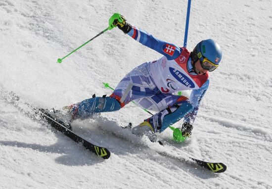 2018 Winter Paralympics. Alpine skiing. Men. Slalom