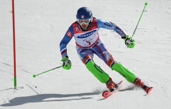 2018 Winter Paralympics. Alpine skiing. Men. Slalom