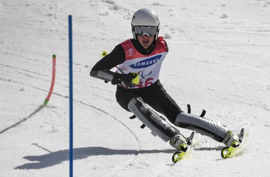 2018 Winter Paralympics. Alpine skiing. Men. Slalom