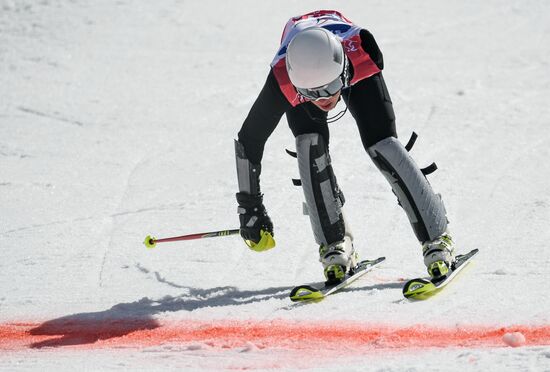 2018 Winter Paralympics. Alpine skiing. Men. Slalom