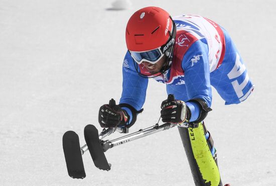 2018 Winter Paralympics. Alpine skiing. Men. Slalom
