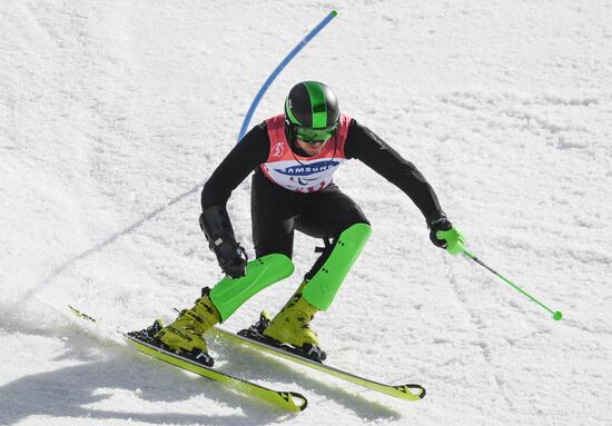 2018 Winter Paralympics. Alpine skiing. Men. Slalom