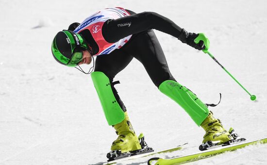 2018 Winter Paralympics. Alpine skiing. Men. Slalom