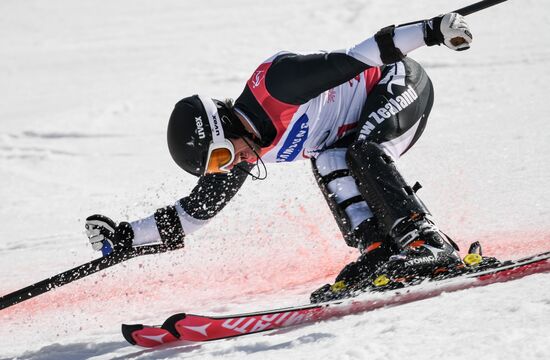 2018 Winter Paralympics. Alpine skiing. Men. Slalom