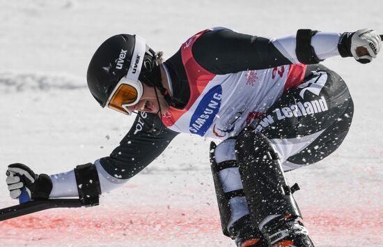 2018 Winter Paralympics. Alpine skiing. Men. Slalom