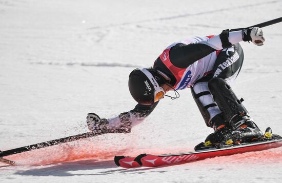 2018 Winter Paralympics. Alpine skiing. Men. Slalom