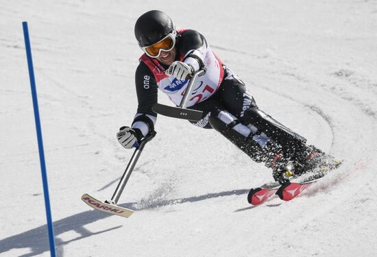 2018 Winter Paralympics. Alpine skiing. Men. Slalom