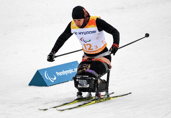 2018 Paralympics. Cross-country skiing. Open relay