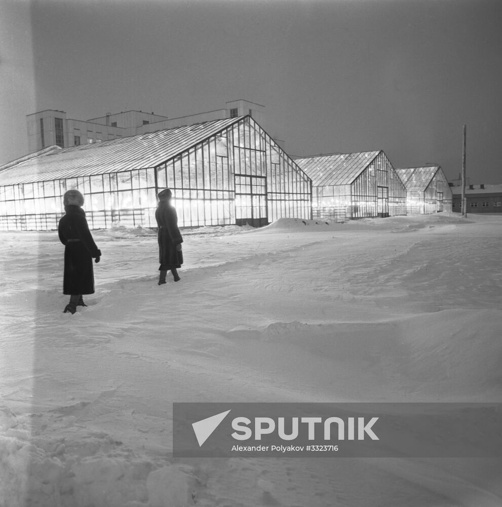 Agricultural complexes in Siberia